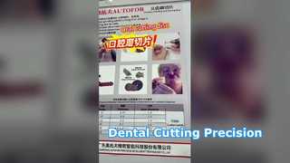 AUTOFOR Global Alliance Bayisi